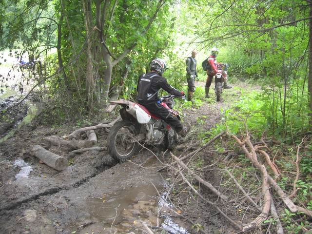 Zmiana rozmiaruIMG_0144